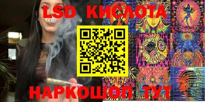 прущие грибы Гусев