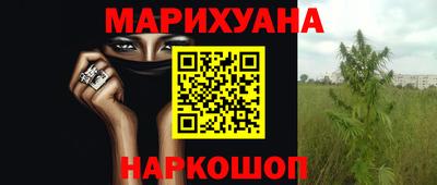 прущие грибы Гусев