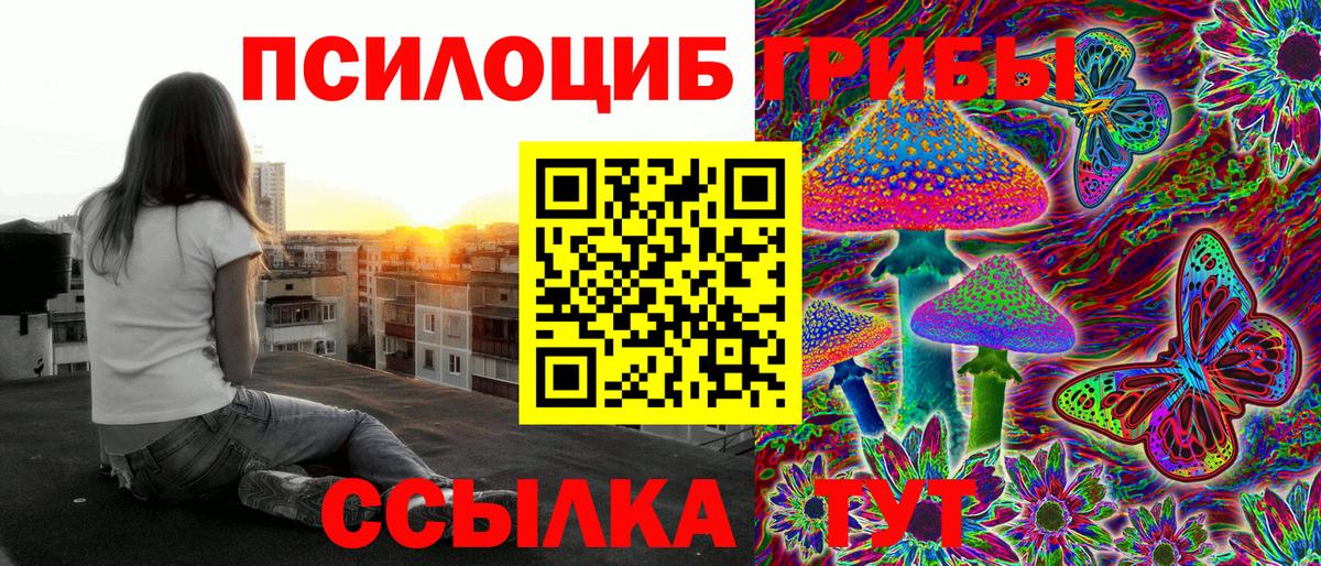 Керчь  продажа наркотиков  Вход с VPN  Псилоцибиновые грибы Magic Shrooms 